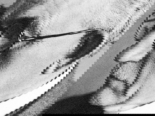 Carl Benscheidt as black-and-white photography